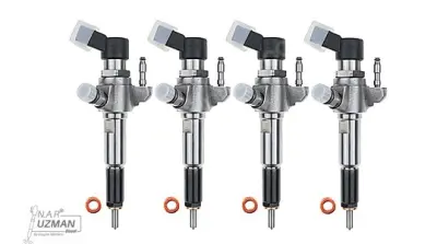 9674973080 Fuel Injector - Peugeot, Ford, Citroen, Volvo 1.6 HDi